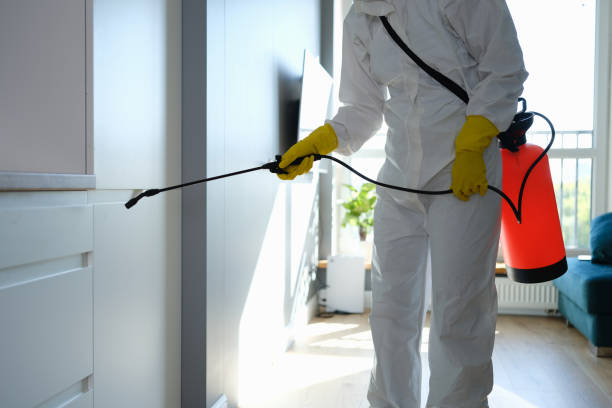 Why You Should Choose Our Mold Remediation Services in Copper Canyon, TX